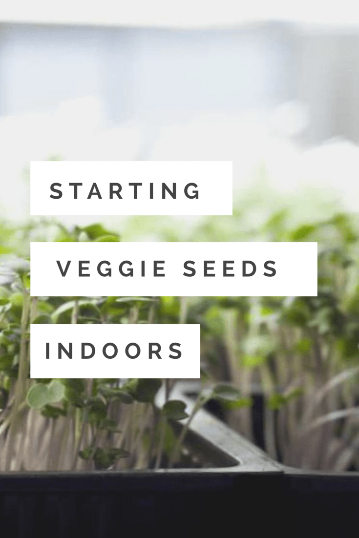 7019085E-F92C-4D0A-939F-7B53B2ED989B