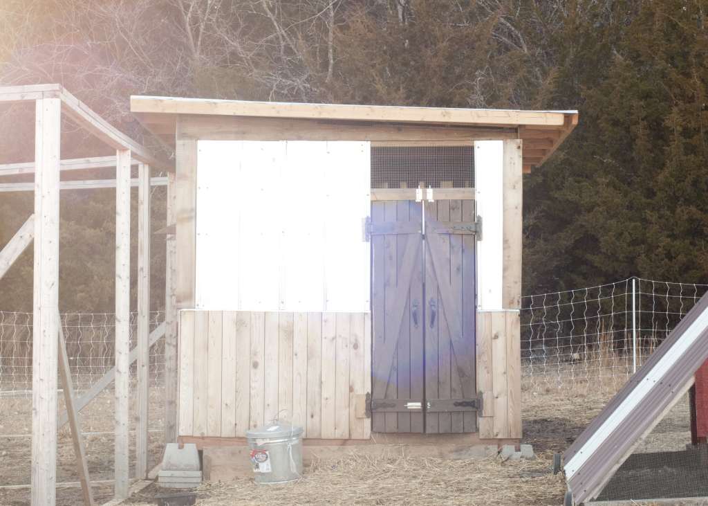 coop turned doghouse 2-min