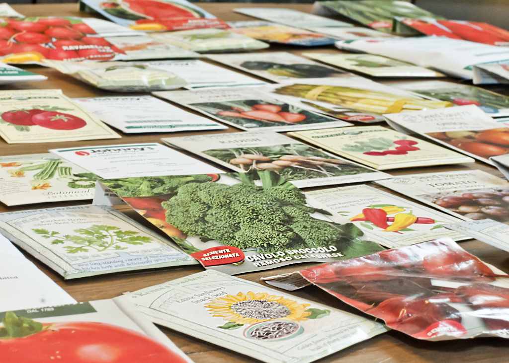 Seed Packets1-min