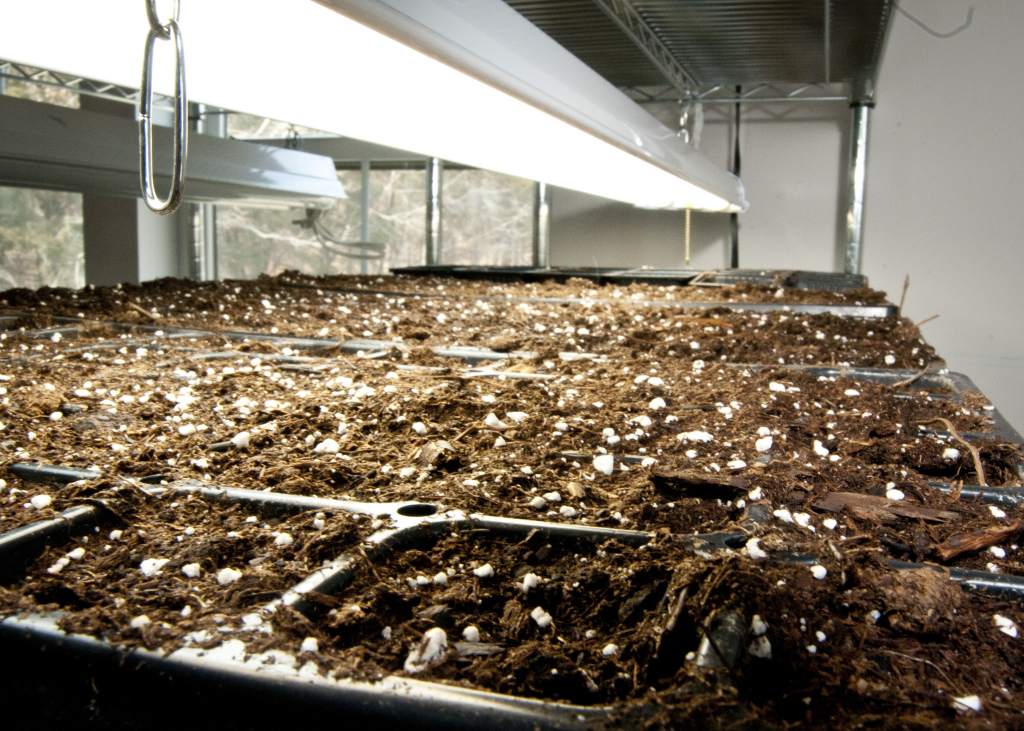 seed starting soil478-min