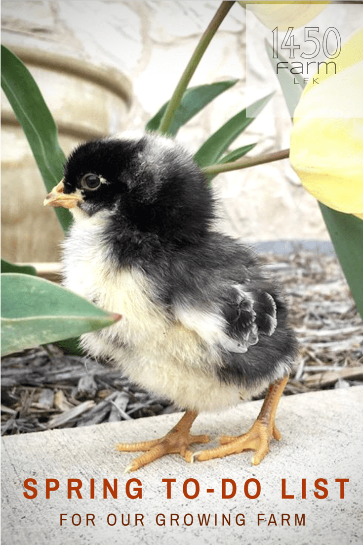 4B0440AC-5A6F-45A5-AC53-92BA19D8EDBE