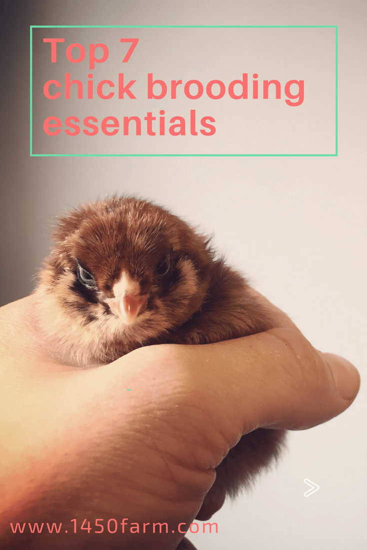 CB3AC15E-418D-4FCB-894B-DF05DE5CE4BB