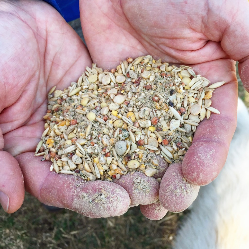 ABD74B23-E704-4963-82A3-C7C70E215020